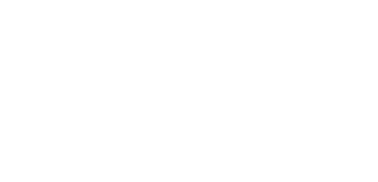 ペルシカリア official HP